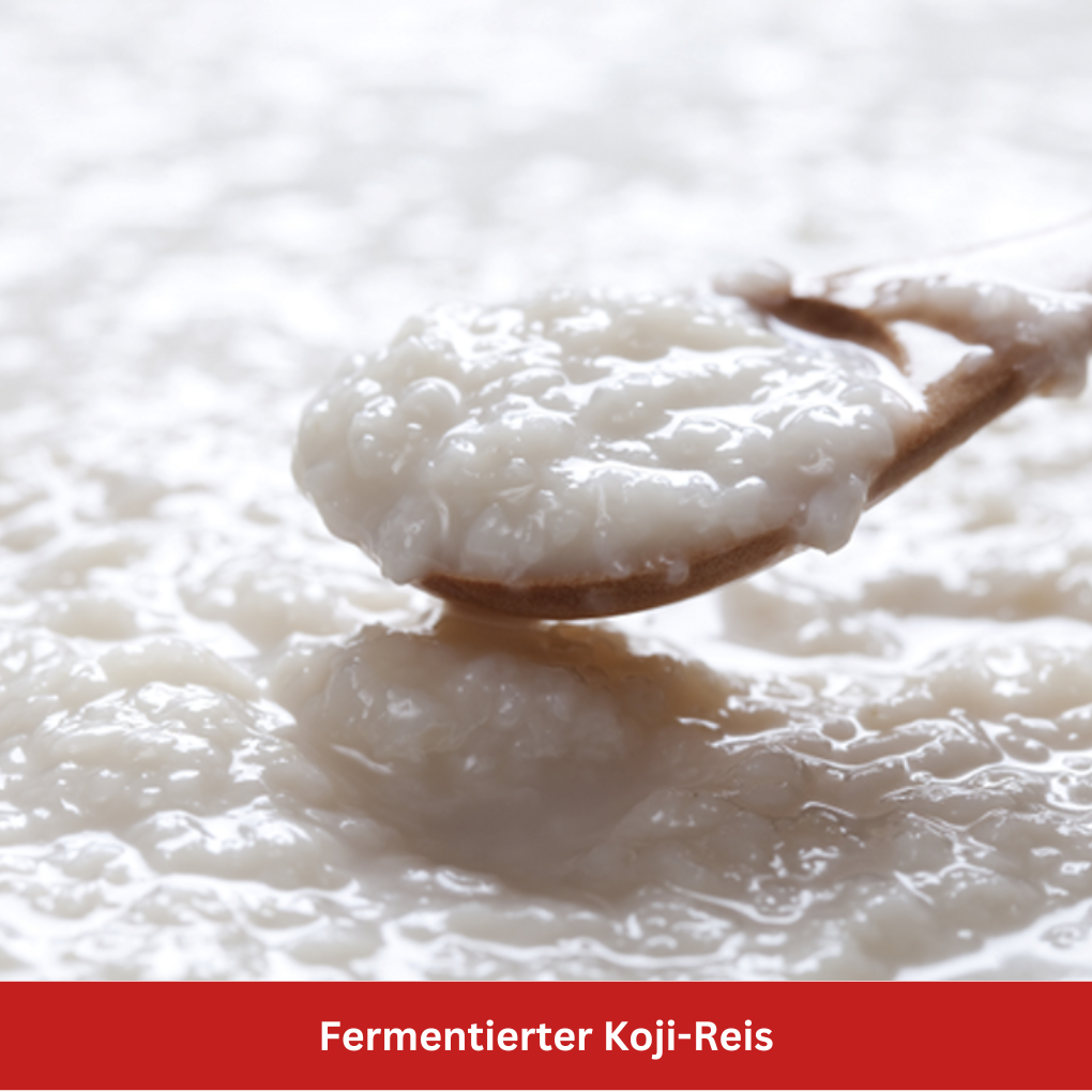Fermentierter Reis