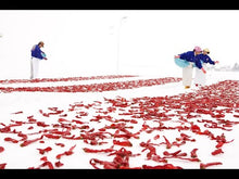 Laden und Abspielen von Videos im Galerie-Viewer, Video Kanzuri fermented Chili paste
